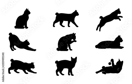 Fotografia Japanese Bobtail Cat Silhouettes, Nine Dynamic Poses, Vector Art Collection for