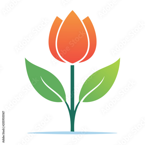 Red and orange tulip vector illustration