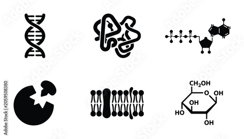 Foto Biochemistry Icons Set: DNA, Protein, Molecule, Enzyme, Cell Membrane, Sugar