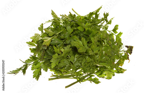 Garden greens isolated on white background