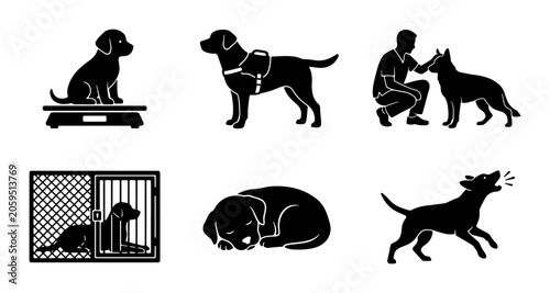 Konstfotografi Dog Care Icons Set, Canine Activities Silhouette Collection, Pet Training and He