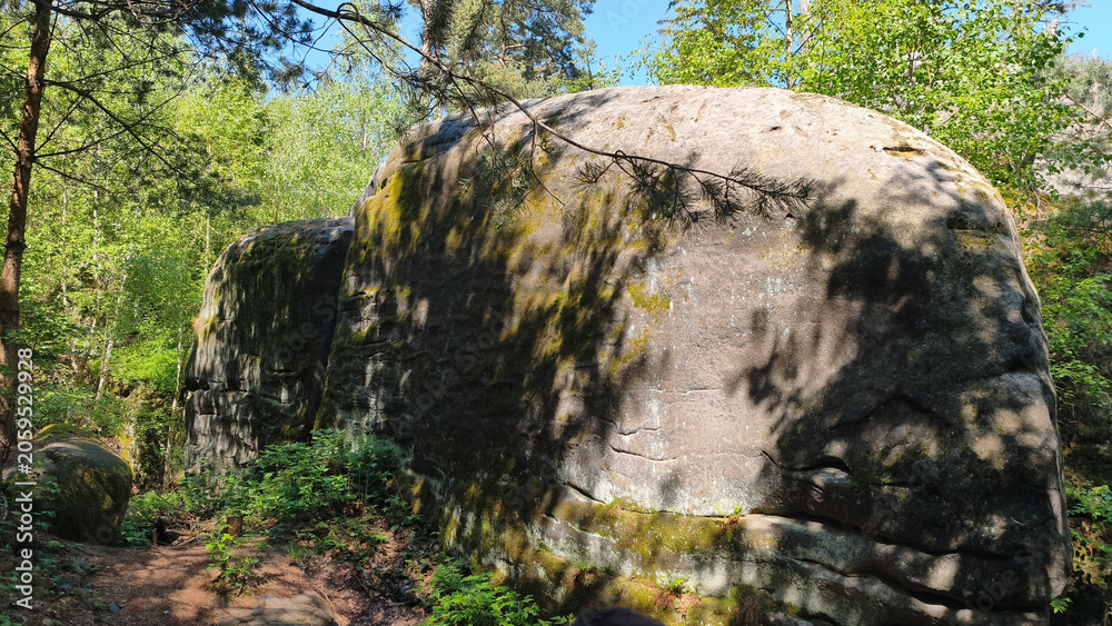 Fototapeta premium Prachov Rocks in Bohemian Paradise, Czech Republic in sunny spring day