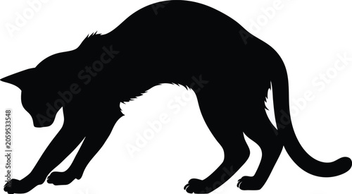 Photography Black cat silhouette, feline icon, animal shape, pet design element
