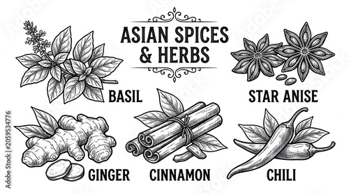 Photos Vintage engraving of asian spices and herbs collection