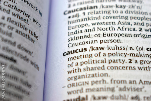 Bild auf Leinwand Detail Of English Dictionary Page And Word Pronunciation Of - caucus