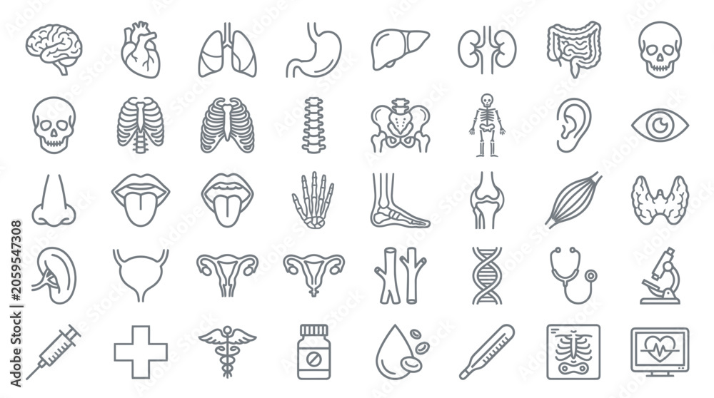 Fototapeta premium Human anatomy and medical line icons for healthcare and education