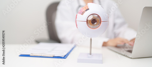 Tableau sur toile Doctor with human Eye anatomy model with magnifying glass