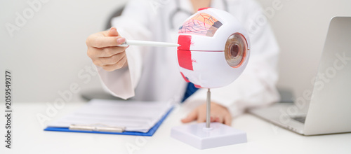 Bild auf Leinwand Doctor with human Eye anatomy model with magnifying glass