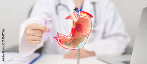 Billede på lærred Doctor with Gastric anatomy model and Purple ribbon