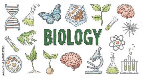 Hand drawn biology icons with brain frog and DNA.