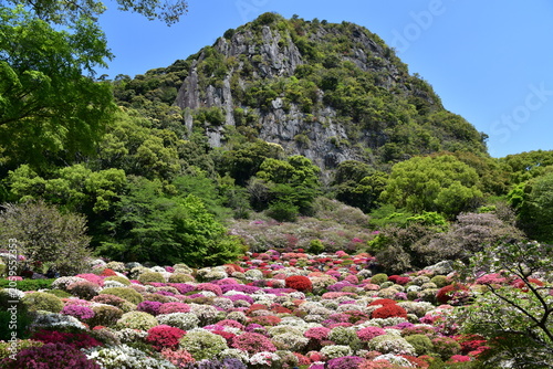 Photography 佐賀県 武雄市の御船山楽園