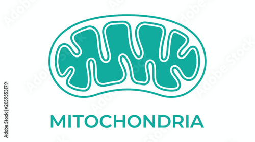 Foto Teal mitochondria cell organelle icon with text label
