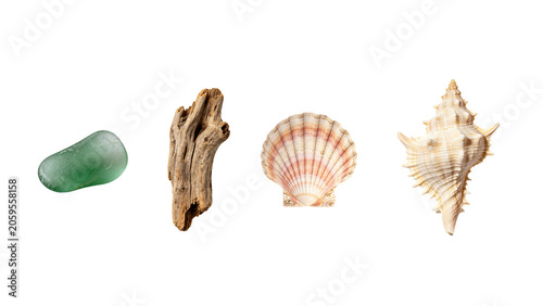 Foto Ocean Style Collage Elements: Sea Glass, Driftwood, Shells and Conchs, Transpar