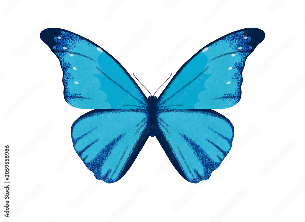 モルフォチョウ属 Images – Browse 20 Stock Photos, Vectors, and