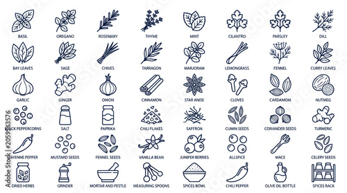 Collection of culinary herbs and spices line icons for cooking