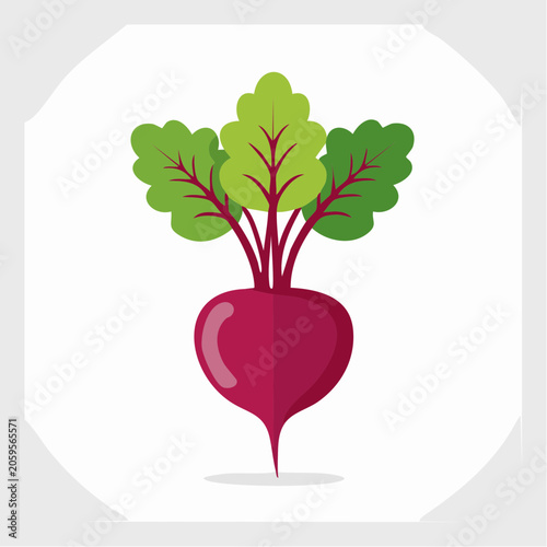 Flat design illustration of a fresh beetroot with green leaves