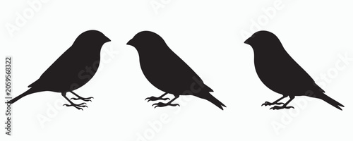 Obraz na płótnie Black finch bird silhouettes in elegant side-view poses, isolated on a light background