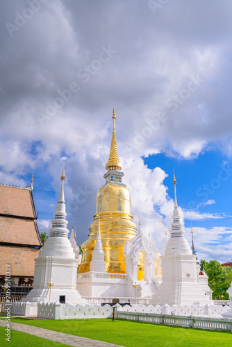Beautiful golden chedi and white stupas of Wat Suan Dok temple under a bright blue sky with fluffy white clouds, Chiang Mai, Thailand. Famous landmark and tourist attraction.