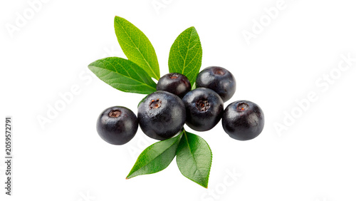 Quadro su tela Branch stalk of organic fresh black currant berries leaves isolated on transpare