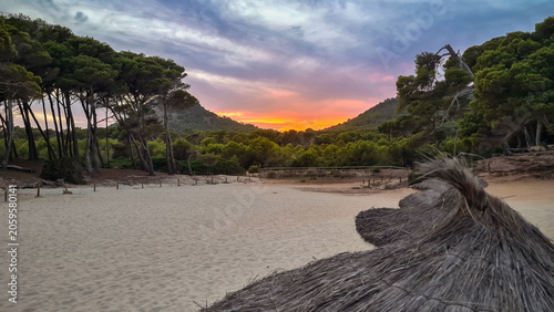 Foto Sandy beach with thatched umbrella at vibrant sunset at Cala Agulla, perfect for