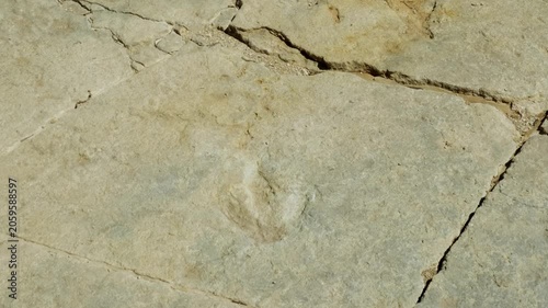 Authentic dinosaur footprint in stone in Spain