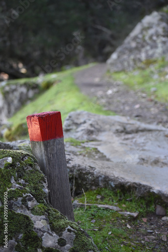 A trail marking wooden pole with a red top indicating where the hiking path is going, with the track seen behind it. Photo taken in Monfragüe National Park near Trujillo, Spain. 