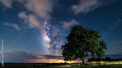 A solitary tree stands beneath a vast starry sky and the Milky Way