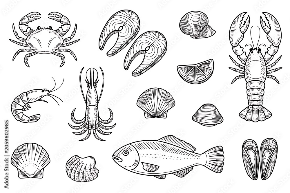 Obraz premium Line art assorted seafood illustrations collection high resolution picture