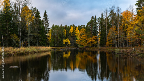 Autumn river landscape in Farnebofjarden national park in north of Sweden.