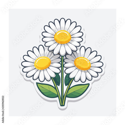 Three White Daisies with Yellow Centers and Green Leaves