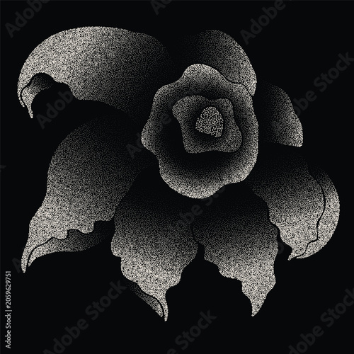 Monochrome Narcissus Flower Dotwork Overlay on Black