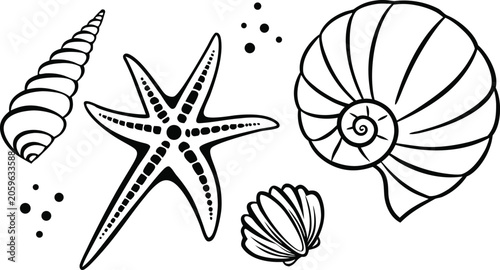 Bild auf Leinwand Seashells seahorse and starfish silhouette design on a white background marine l