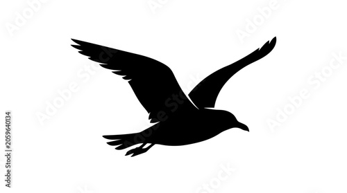 Bild auf Leinwand Bird in Flight Silhouette Profile.