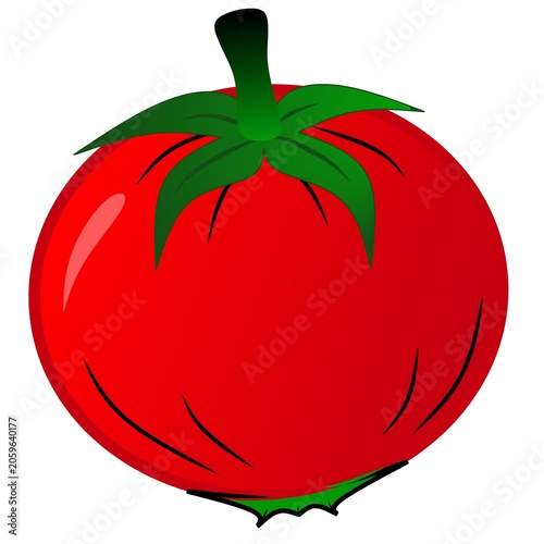 Red Tomato Vector Illustration Isolated on transparant Background