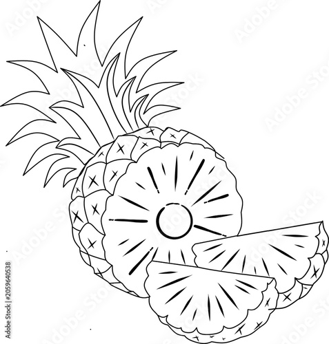 Pineapple Line Art Vector Illustration with Slices Isolated on transparent background