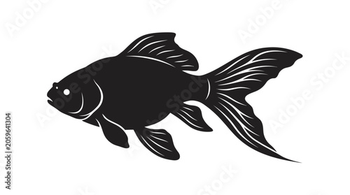 Fotografie Black goldfish swimming alone side view.