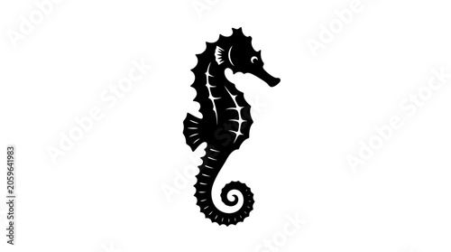 Fotografie Black Seahorse Silhouette Ocean Animal.