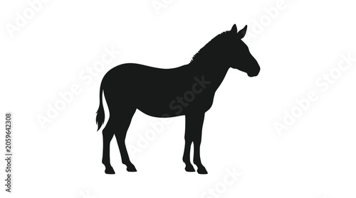 Tableau sur toile Black silhouette of a donkey standing.
