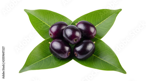 Fresh jamun fruit with green leaves syzygium tropical seasonal agriculture ingredient nutrition vegetarian superfood isolated botanical culinary vitamins wellness delicious