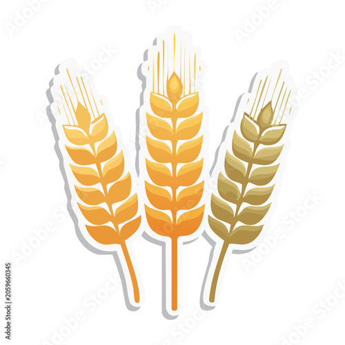 Flat Design Wheat Stalks Illustration