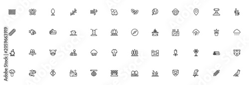 Photography Rainforest icon set