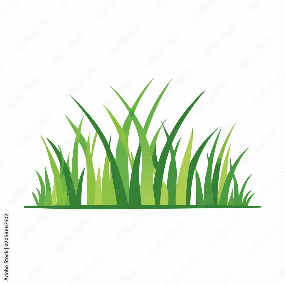 Fototapeta premium Green Grass Illustration