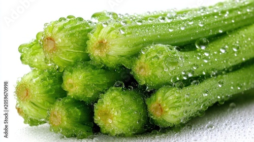 Fresh green vegetable stalks glisten under numerous clear water droplets against a bright background.
