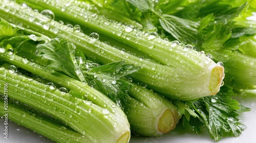 Fresh green stalks of crisp garden vegetable covered in clear water droplets