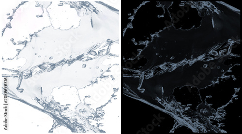 Obraz na plátně Microscopic plant cell structure, biological xylem and phloem tissue under micro