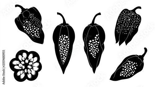 Several stylized, high contrast black and white illustrations display cross sections of various spicy peppers with seeds visible.