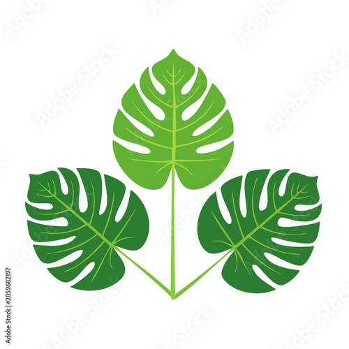 Monstera Leaves Flat Design Illustration