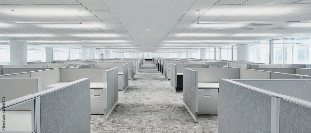 Fototapeta premium Spacious modern office with cubicles.