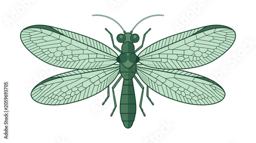 Konstfotografi Green insect with large wings spread.