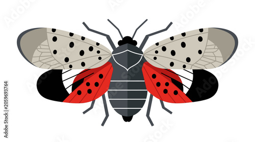 Spotted Lanternfly Insect Macro View.